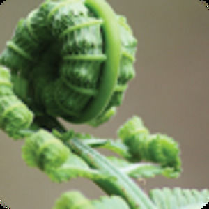 Meet your Posher, Gera&partners